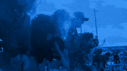 Ubtrueblue GIF by ubuffalo