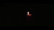 Video Rock GIF by TheFactory.video