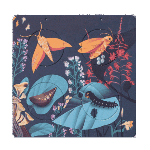 Nocni Zivot Sticker by pipasik