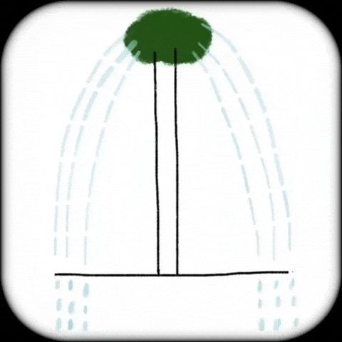 Sad Tree GIF by Barbara Pozzi