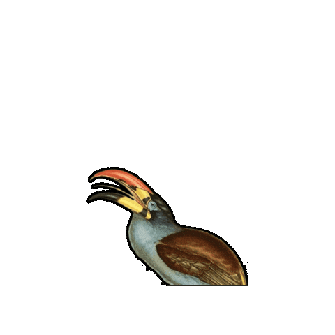 Bird Sticker by The Wild Curiosity