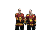 Hockey Nhl Sticker by Guelph Gryphons