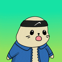 Fun Wow GIF by Sappy Seals Community