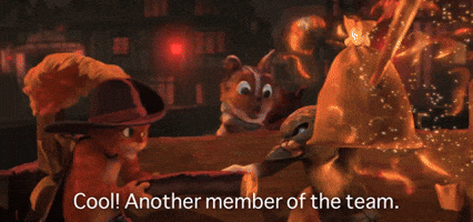 Another Member Of The Team