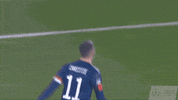 Celebrate Euro 2020 GIF by Scotland National Team