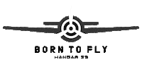 hangar33 fly plane hangar borntofly Sticker