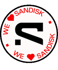 Flash Data Sticker by Sandisk