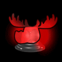 DoYouMoose light web3 attention warning GIF