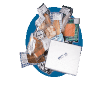 AmityFishCo amity amity fish co amityfishco amityfishcompany Sticker