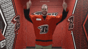 Yes Yes Yes Hockey GIF by Rapid City Rush