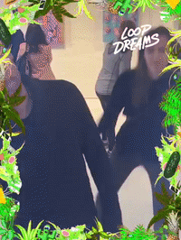 loopdreams by Loop Dreams GIF Booth