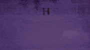 loma vista recordings villainy music video GIF by Local Natives