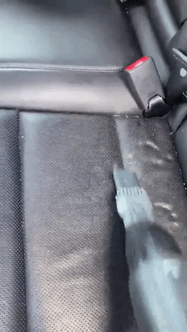 GIF by BuzzFeed