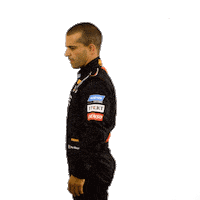 Max Wilson Stockcar Sticker by Stock Car Brasil