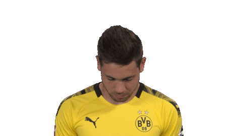 Its Me Hello Sticker by Bundesliga