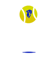 OpenSopraSteria tennis ace lyon atp Sticker