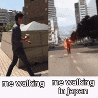 The Flash Japan GIF