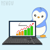 Penguin Invest GIF by Pudgy Penguins