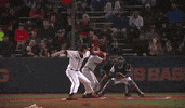 GIF by Fighting Illini Athletics