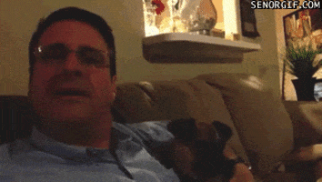 dog yawning GIF by Cheezburger