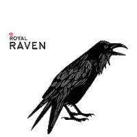 Crow Kazan Sticker by Tatspirtprom