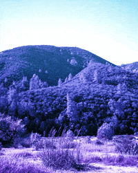 film analog GIF by Doctor Popular