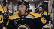 ice hockey sport GIF by NHL