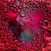Heart Love GIF
