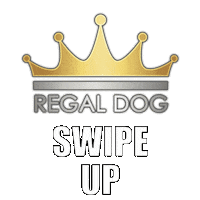 regaldog dog regal dog regaldog imaregaldog Sticker