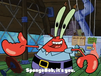 new leaf episode 13 GIF by SpongeBob SquarePants
