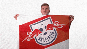 Football Soccer GIF by RB Leipzig