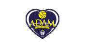 Sport Team Sticker by Adam Voleybol