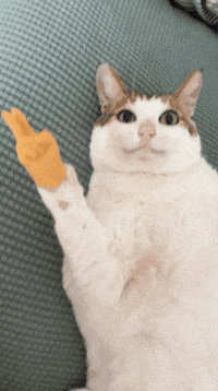 Baobao GIF