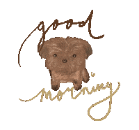 Morning Maltipoo Sticker