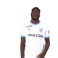 Ligue 1 Football Sticker by Olympique de Marseille