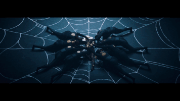 my name is alice spider GIF