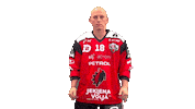 Sport Goal Sticker by HDD SIJ Acroni Jesenice