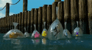 finding nemo waiting GIF