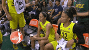 excited lets go GIF by WNBA