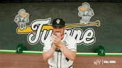 College Baseball Lambert GIF by GreenWave