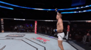 ufc 209 GIF