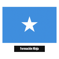 Flag Bandera Sticker by Formación Ninja