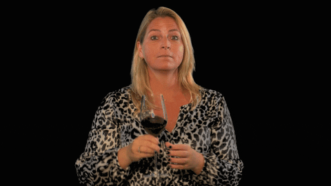sqalarecruitment giphyupload proost red wine drinken GIF