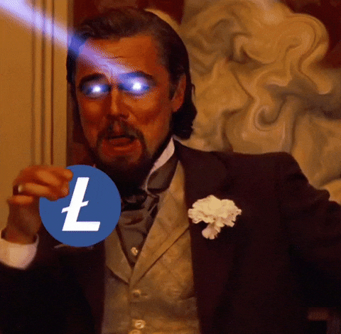 flashtrader1 litecoin ltc flashtrader1 GIF