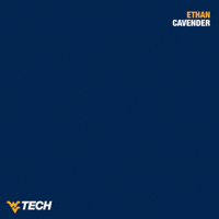 Wvu Tech GIF by WVU Tech Golden Bears