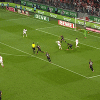 1 Fc Cologne Football GIF by 1. FC Köln