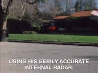 action league now nicksplat GIF