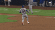 Celebrate New York Mets GIF by SNY