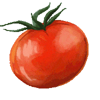 freshfromflorida florida sunshine tomato sunshine state Sticker