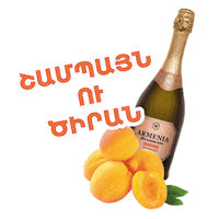 Yerevan Friday Mood Sticker by Armenia Wine Company